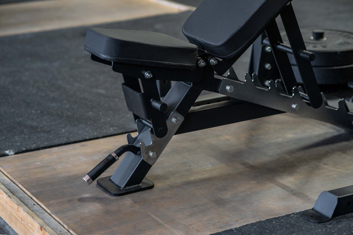 SQMIZE® Hantelbank PREMIUM BISON SQ-R490