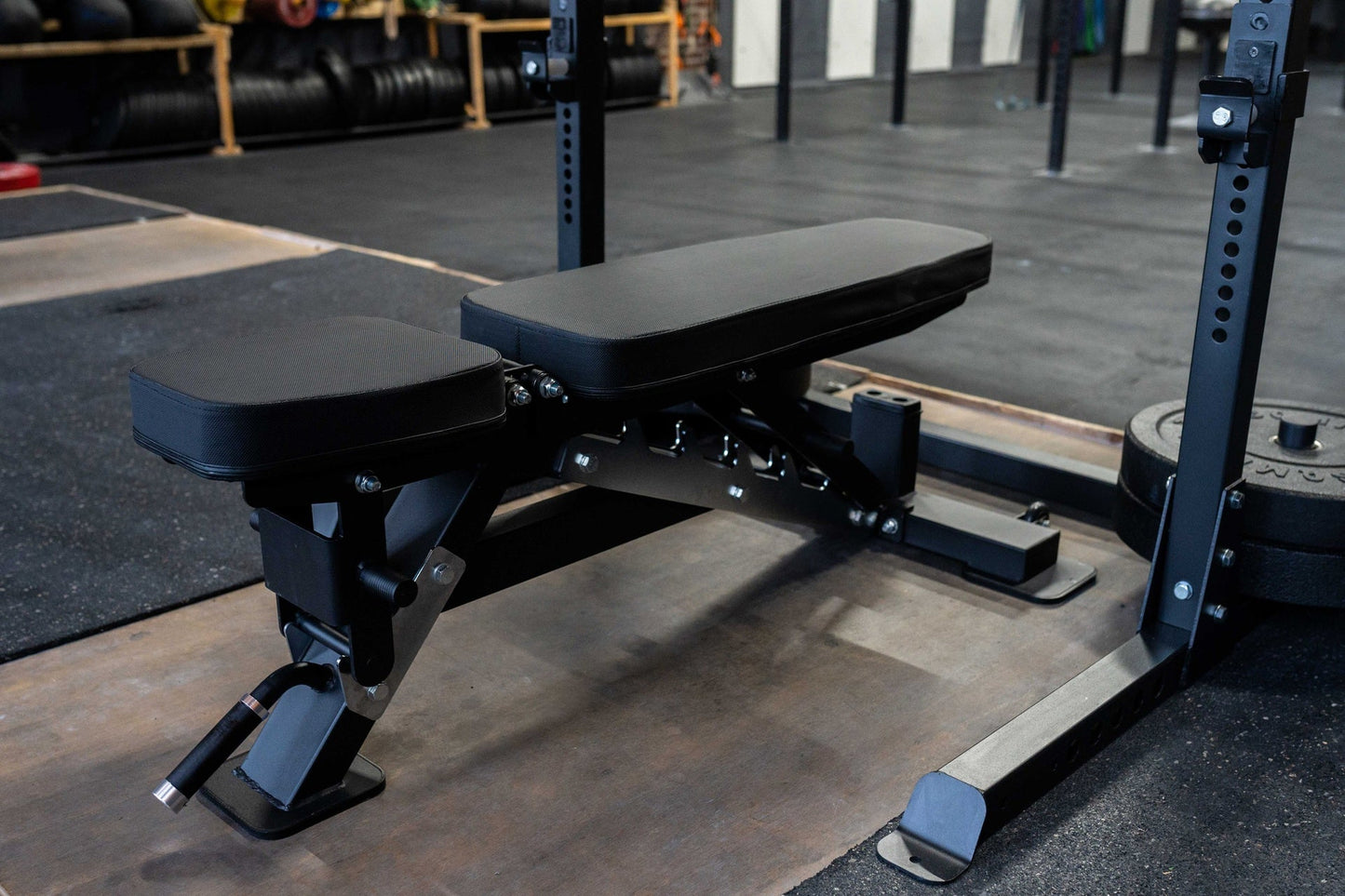 SQMIZE® Hantelbank PREMIUM BISON SQ-R490