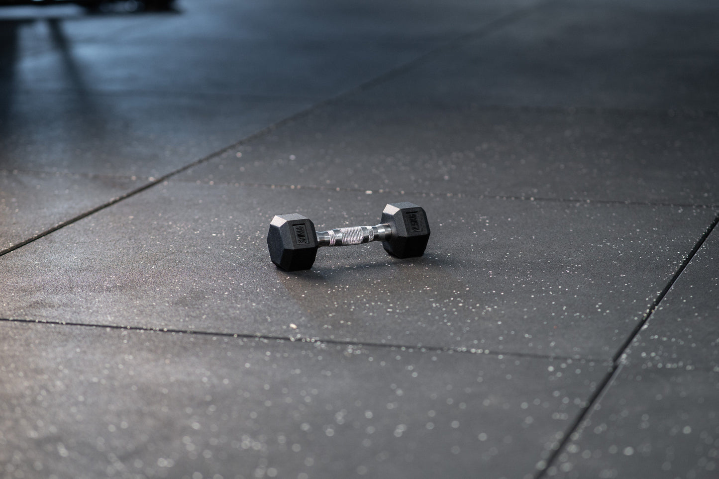 Hex Dumbbell - Hexagon Hanteln SQMIZE® HDBR gummiert, 2.5 - 40 kg www.simpleproducts.at 2.5 kg 