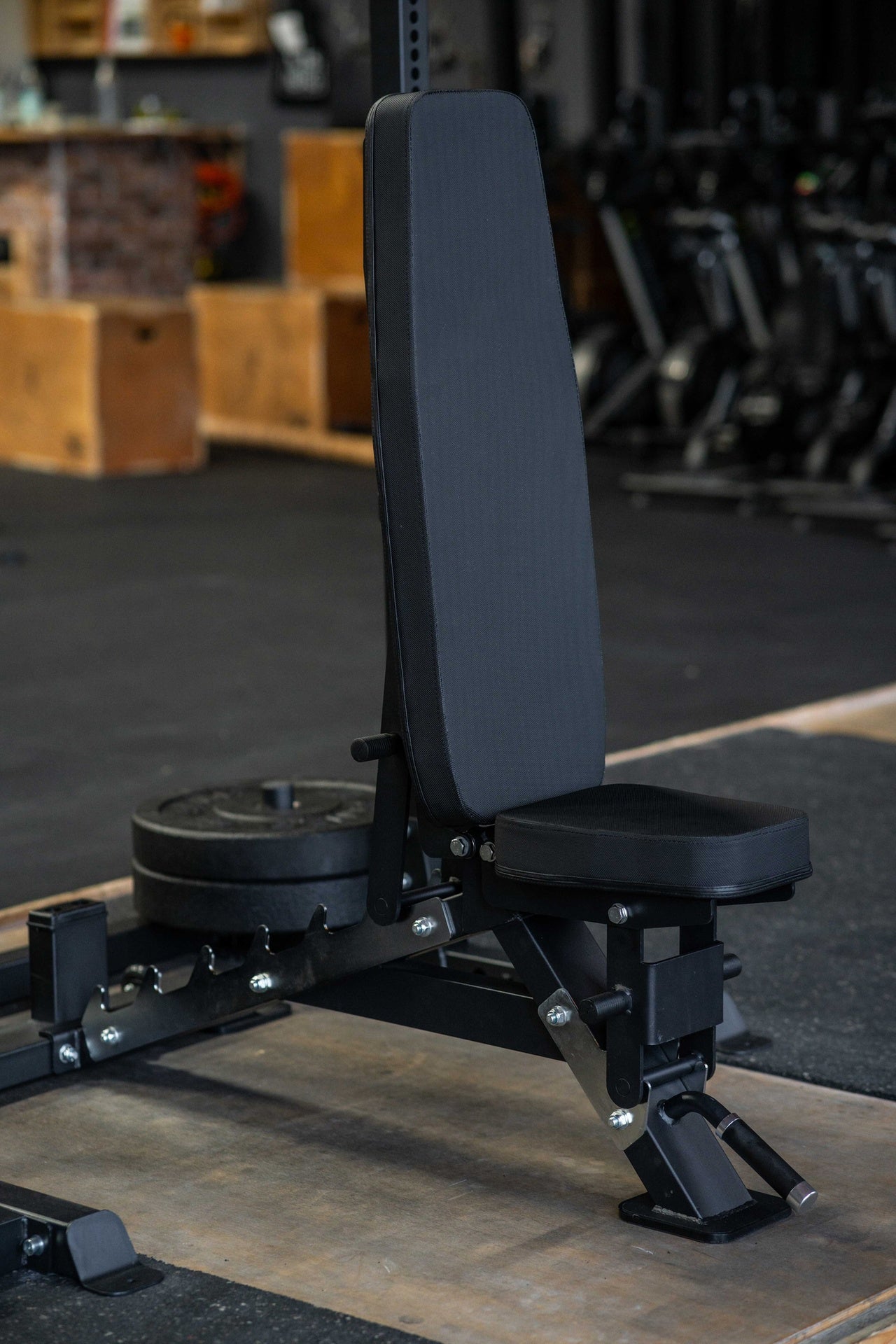 SQMIZE® Hantelbank PREMIUM BISON SQ-R490
